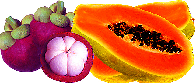 mangosteen papaya copy